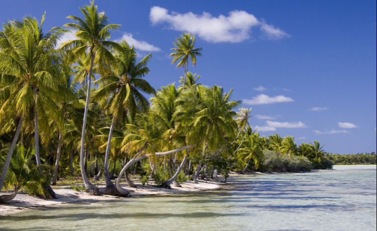 Cook Islands Discovery, 11 Tage