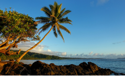 Fiji Highlights, 7 Tage