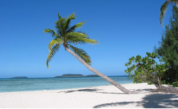 Tonga Beach Resort