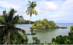 Exploring Paradise, 8 Tage