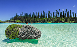 Ile des Pins