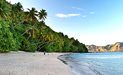 Kadavu