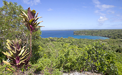 Iles Loyaute