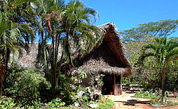 Atiu