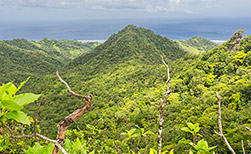 Rarotonga