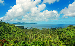 Taveuni