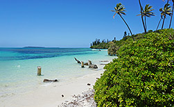 Ile des Pins