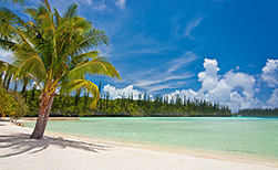 Ile des Pins