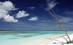 Nouméa