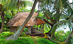 Tanna