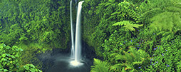 Samoa Aktivferien