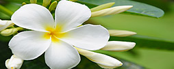 Samoa Reisetipps