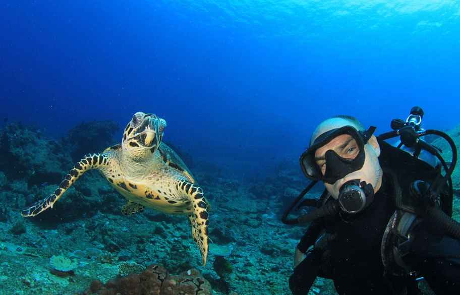 Taucher mit Schildkröte auf den Fiji Islands Südsee Schildkröte Tauchen Fidschi Inseln