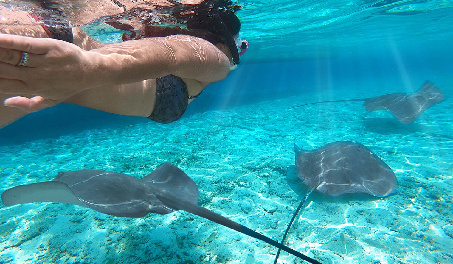 Bora Bora Schnorchel Ferien Frau schnorchelt auf Bora Bora